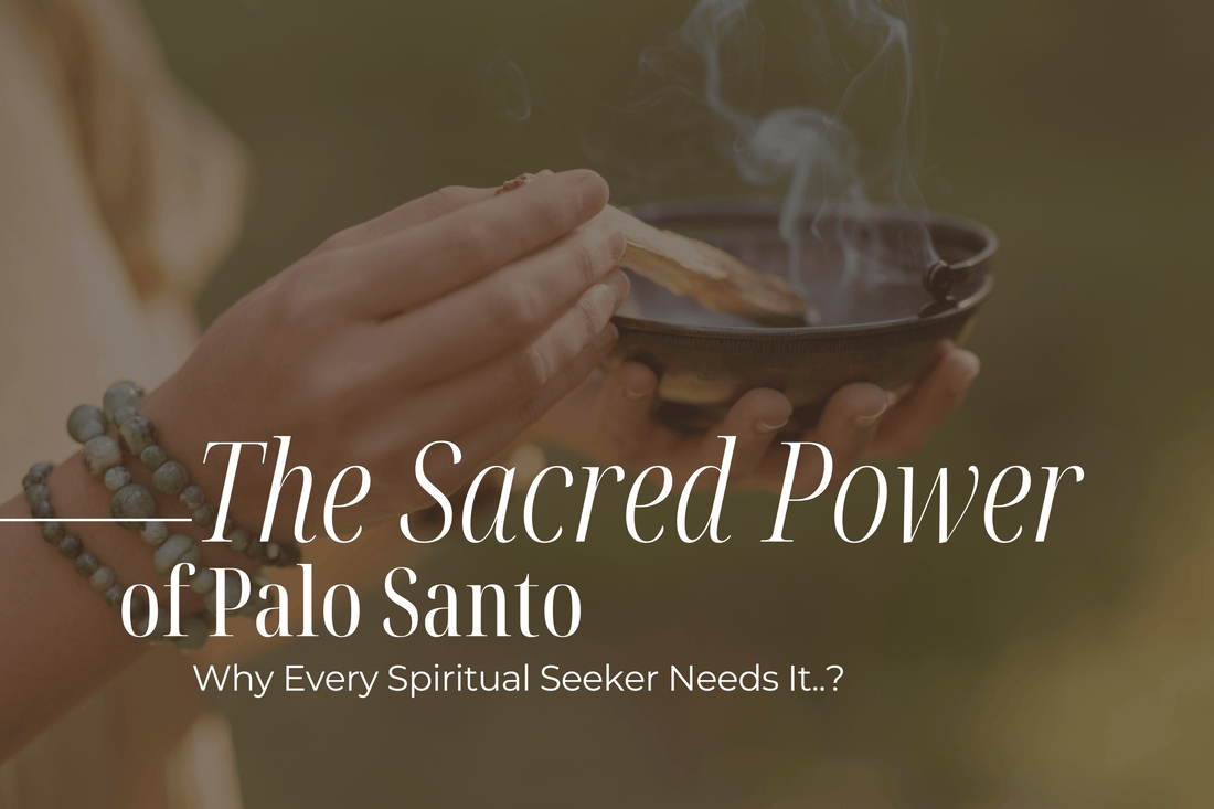 The Sacred Power of Palo Santo: Why Every Spiritual Seeker Needs It